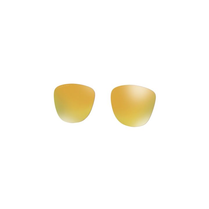 Oakley Frogskins – 24K Iridium Polarized